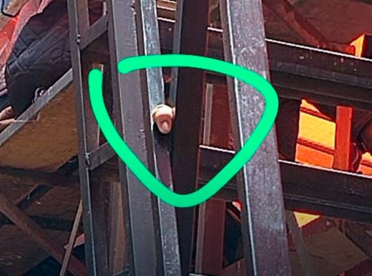 Fiscalía investiga a quien corresponde el dedo cercenado encontrado en Oruro