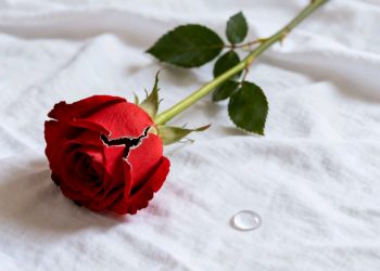 Feminicidio en Rurrenabaque eleva a 11 los casos registrados en 2026