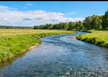 Inundación corta el acceso a San Antonio de Lomerío y paraliza el transporte