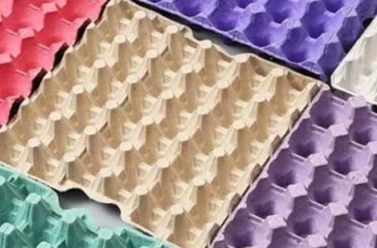 Hallan 50 paquetes de droga ocultos en carga de huevos en ruta La Paz–Oruro