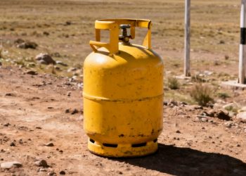 Mascota muere tras ataque de perros y vecinos piden acción de autoridades