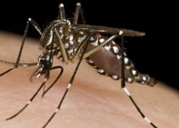 “Broma” para redes sociales termina con youtuber detenida por la policía