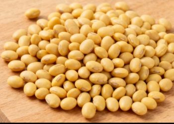 “Broma” para redes sociales termina con youtuber detenida por la policía