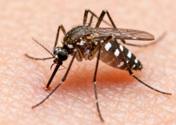 Choque múltiple en la Doble Vía La Guardia provoca heridos y congestión vehicular