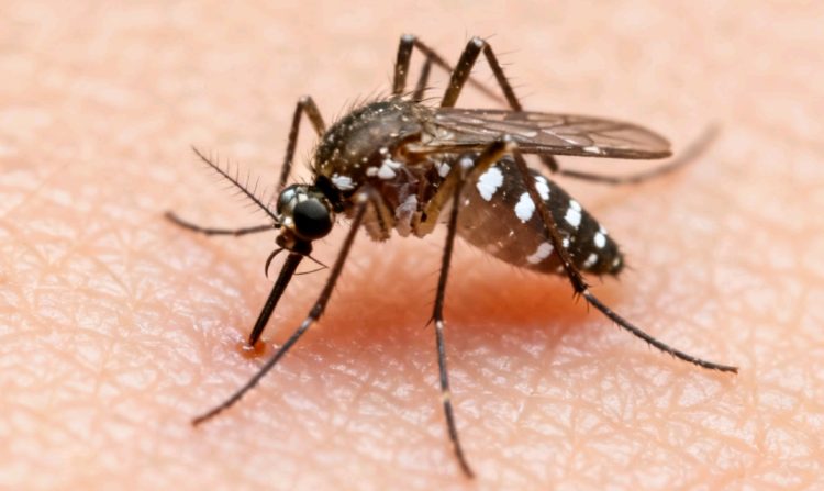 Choque múltiple en la Doble Vía La Guardia provoca heridos y congestión vehicular