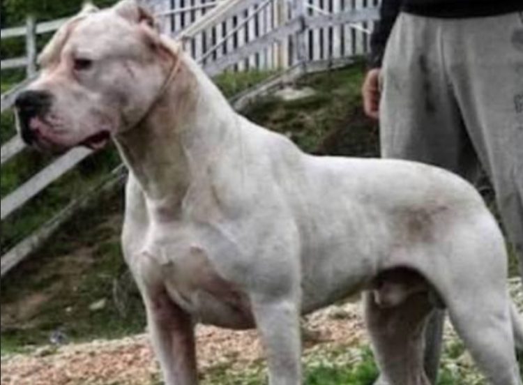 Choque múltiple en la Doble Vía La Guardia provoca heridos y congestión vehicular