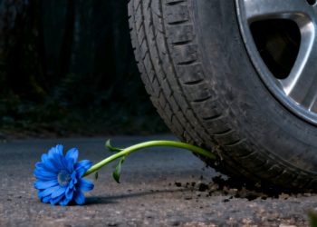 Tragedia en la autopista: fallece una mujer al caer de un minibús