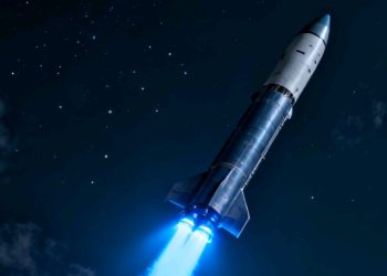 Tragedia en la autopista: fallece una mujer al caer de un minibús