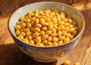 Tragedia en la autopista: fallece una mujer al caer de un minibús