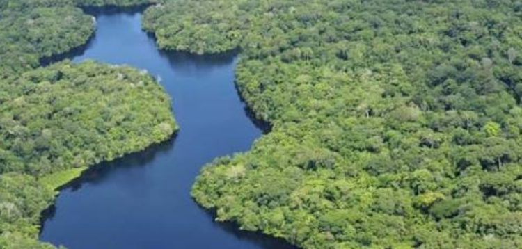 Sector asalariado del hogar tendrá jornada libre con goce de haberes