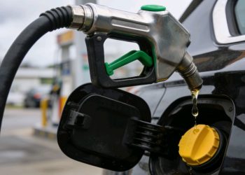 Reportan 306 casos de chikungunya y 11 de influenza en una semana