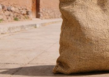 Reportan 306 casos de chikungunya y 11 de influenza en una semana