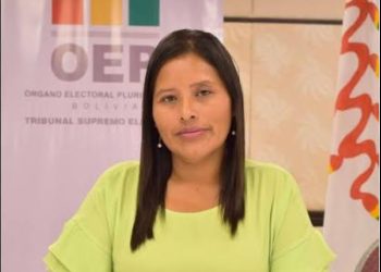 Denuncian intento de “golpe” en el TSE para favorecer a sectores afines a Evo Morales