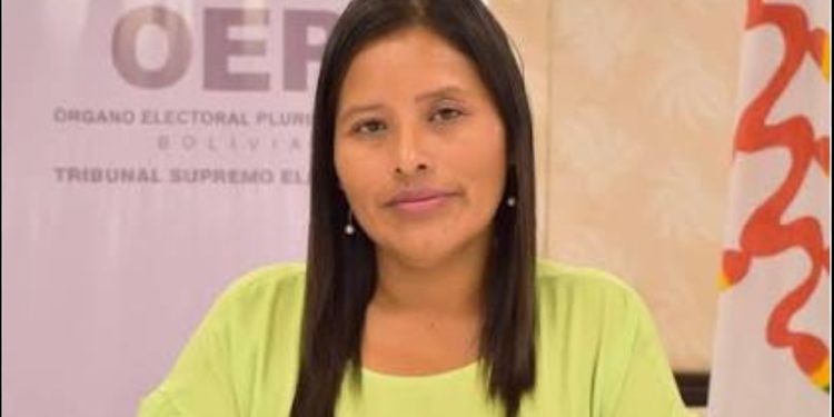 Denuncian intento de “golpe” en el TSE para favorecer a sectores afines a Evo Morales